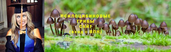 mdma Вяземский